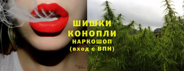 Альфа ПВП Вязьма