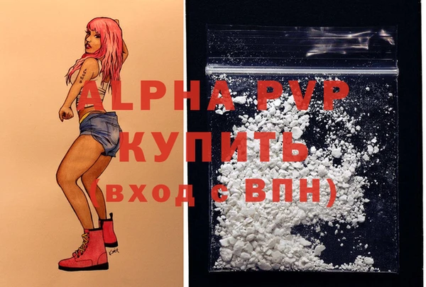 сатива Вяземский