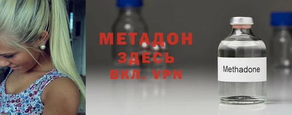 сатива Вяземский
