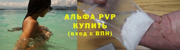сатива Вяземский