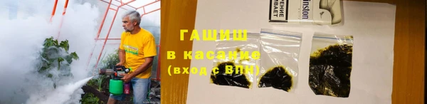 сатива Вяземский