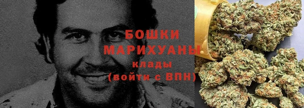 сатива Вяземский