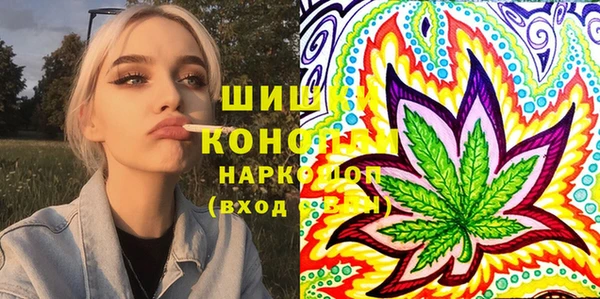 сатива Вяземский