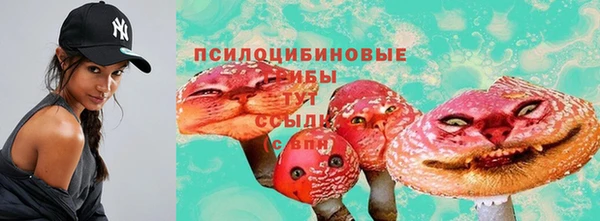 сатива Вяземский
