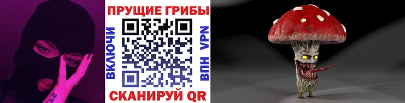площадка как зайти  OMG ссылка  Богданович  как найти закладки  Галлюциногенные грибы GOLDEN TEACHER 