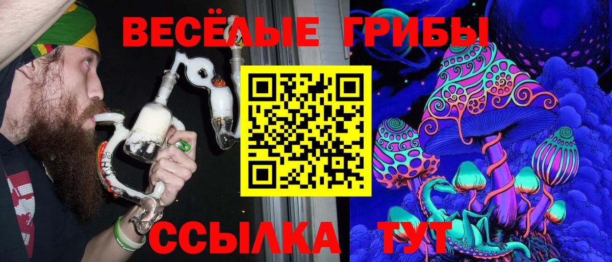 Псилоцибиновые грибы Psilocybe Богданович