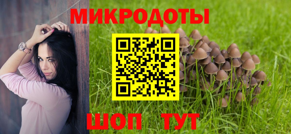 Богданович  Псилоцибиновые грибы мухоморы  Вход с VPN 