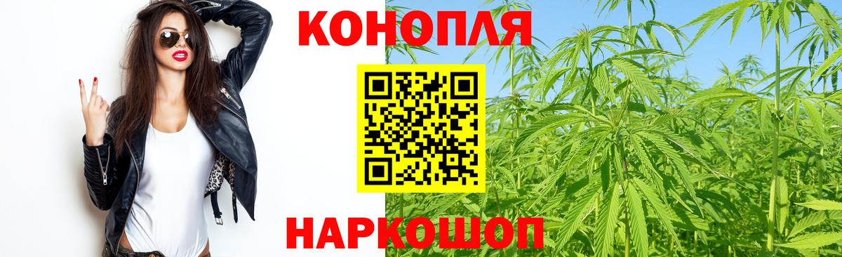 Бошки Шишки Amnesia Богданович